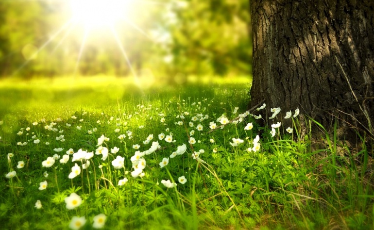 5 prostych sposobów na wzmocnienie energii u progu wiosny!