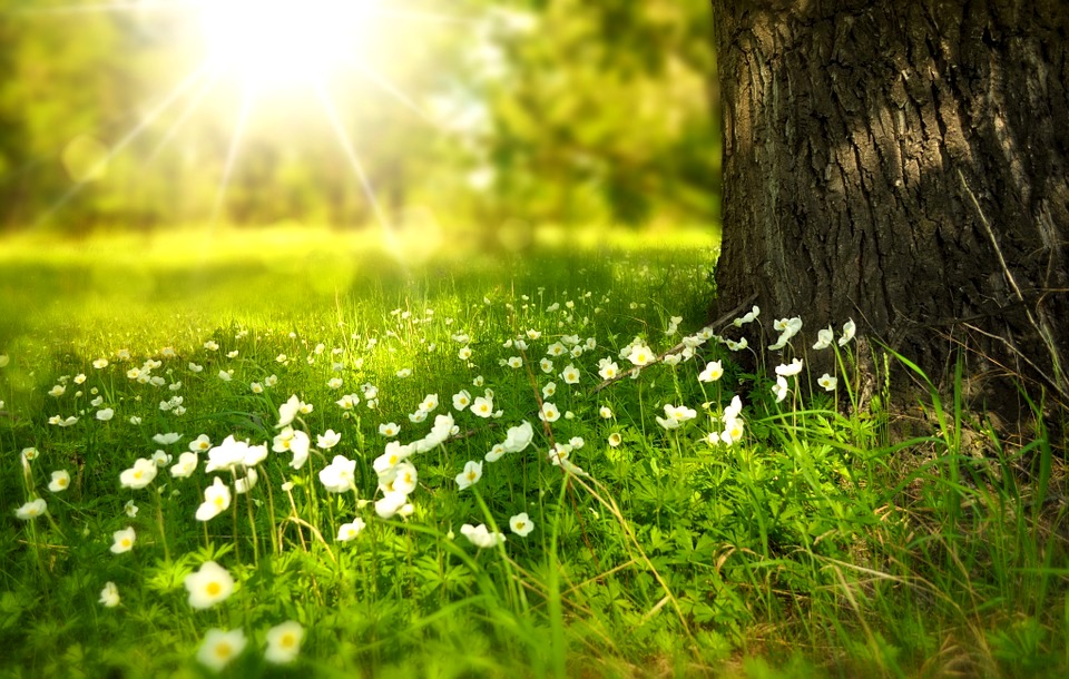 5 prostych sposobów na wzmocnienie energii u progu wiosny!