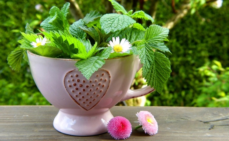 Jak stosować herbatki ziołowe?