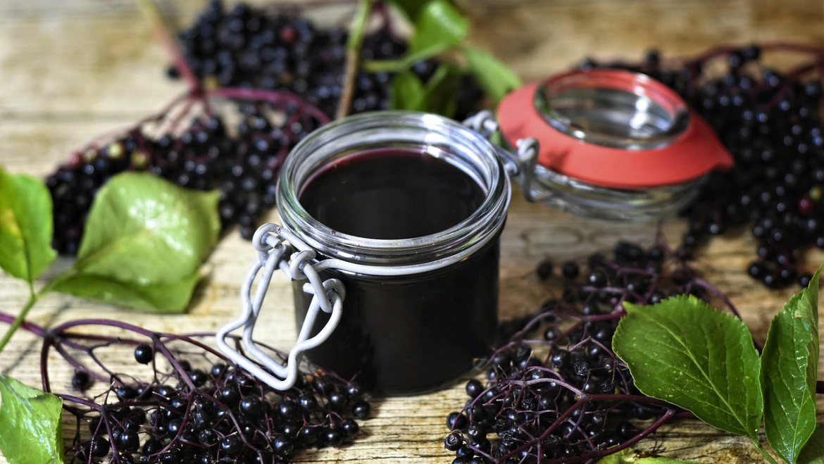Owoc czarnego bzu – na odporność, nadciśnienie, sokoli wzrok