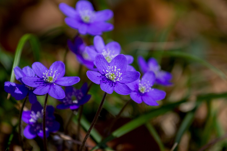 7 prostych sposobów na wzmocnienie sił witalnych i radości u progu wiosny!
